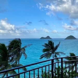 Meet your Posher, Bibi